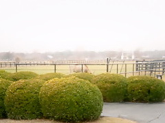 Horny pornstar in Hottest Reality, Softcore sex video