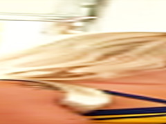 RealityKings - Money Talks - Esmi Lee Marsha May Tarzan - Bucks For Bibi