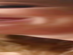 RealityKings - Milf Hunter - Kayla West Levi Cash - Kinky Kayla