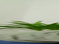 RealityKings - Mikes Apartment - Kristy Black Renato - Delicious Delight