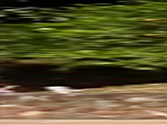 RealityKings - Mike in Brazil - Mariana Kriguer Tony Tigrao - Wet Slide