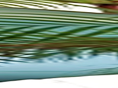 RealityKings - Mike in Brazil - Loupan Sara Rosar - Delicious Sara