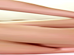 RealityKings - Euro Sex Parties - Choky Ice Felicia Kiss Lucy Heart Tony - Spread Wide Open