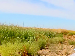 Horny pornstars in Crazy Big Tits, Babes xxx clip