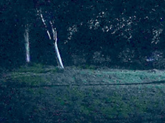 Rea Mole & Hannah Arterton - Hide and Seek aka Amorous (2014)