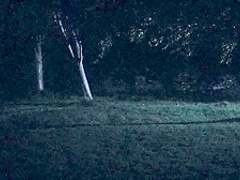 Rea Mole & Hannah Arterton - Hide and Seek aka Amorous (2014)