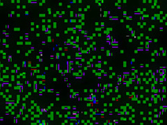 Hottest pornstar Layla Sin in fabulous fetish, foot fetish porn movie