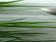 RealityKings - Big Naturals - Jmac Kayla West - Cum On Kayla