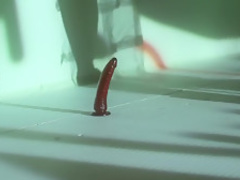 Horny pornstars Dahlia Sky and Christy Mack in incredible stockings, brunette porn scene