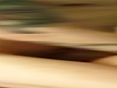 Amateur Fun After Breakfast