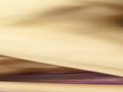 Amateur Fun After Breakfast