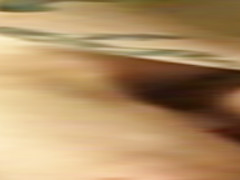 Amateur Fun After Breakfast