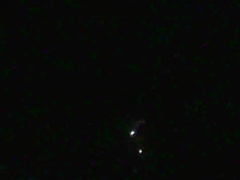 Qui a tue Bambi (2003) Sophie Quinton , Lisa Huynh