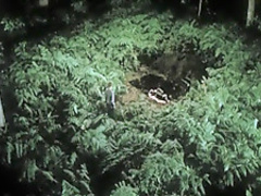 Qui a tue Bambi (2003) Sophie Quinton , Lisa Huynh