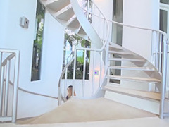 Fabulous pornstar Brandy Aniston in incredible blowjob, cumshots adult movie