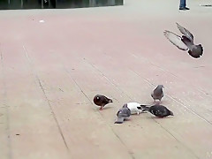 Reading a book makes the girl horny