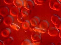 Bram Stoker's Dracula (1992) Sadie Frost