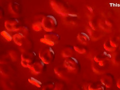 Bram Stoker's Dracula (1992) Sadie Frost