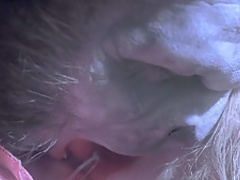 Bram Stoker's Dracula (1992) Sadie Frost