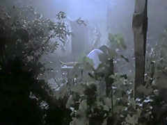 Bram Stoker's Dracula (1992) Sadie Frost