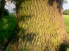 Fabulous pornstar Pinky June in crazy college, solo porn video