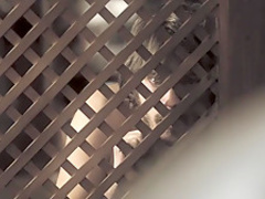 Venuto al mondo (2012) Saadet Aksoy