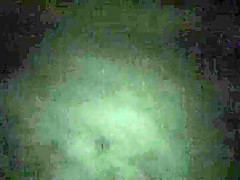 Crazy pornstars Nikki Daniels and Britney Amber in horny brunette, outdoor sex clip