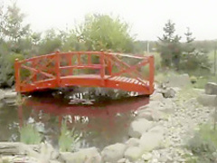 Hottest pornstars Valentina Nappi and Lien Parker in crazy fetish, blowjob adult clip