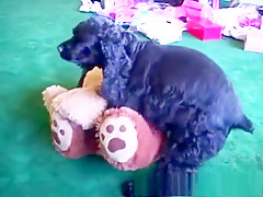 Amazing pornstars Ariana Jollee, Cailey Taylor and Nautica Thorn in incredible straight sex movie