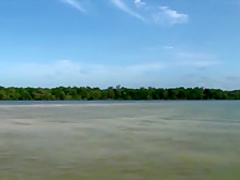 Crazy pornstar Barbie Banks in amazing latina, blonde xxx video