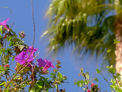 Hottest pornstars in Best Threesomes, Reality adult movie