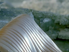 Jamon Jamon (1992) Penelope Cruz