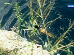 Posledniy Yanychar S01E01 (2014) - Zoryana Marchenko