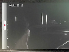 Pinup Dolls on Ice (2013) Ashley Laventure