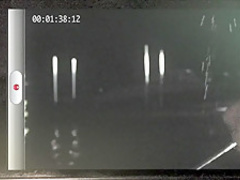 Pinup Dolls on Ice (2013) Ashley Laventure