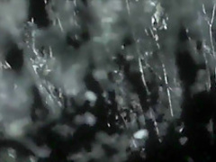 Pinup Dolls on Ice (2013) Ashley Laventure