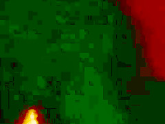 La clinique des phantasmes (1980)