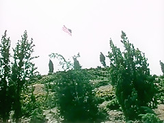 All american hustler (2k) - 1972