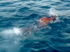 Best pornstar in incredible hardcore, facial adult movie