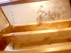 Rough mature bisexuals