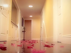 Exotic pornstar Skylar Price in amazing dildos/toys, blowjob porn scene