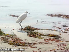 Exotic pornstar Sinn Sage in Crazy Masturbation, Solo Girl adult clip