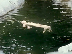 Au fond des bois (2010) Isild Le Besco