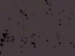 One Night Stand (1997) Nastassja Kinski