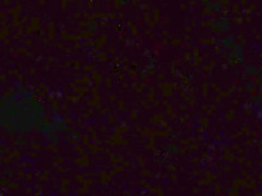 One Night Stand (1997) Nastassja Kinski