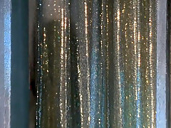 Striptease (1996) Demi Moore