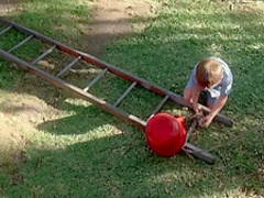 Sweetie (1989) Genevieve Lemon