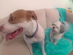 Incredible pornstar Christy Mack in amazing blonde, big tits sex video