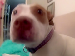 Incredible pornstar Christy Mack in amazing blonde, big tits sex video