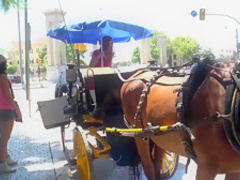 Crazy pornstar in fabulous hardcore, blowjob adult video